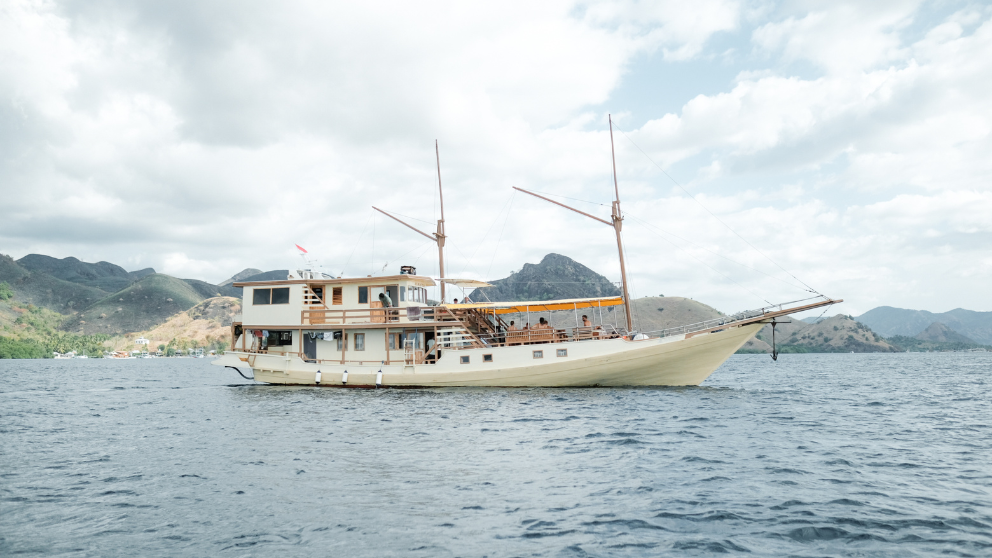almadira-trip-komodo-1.png
