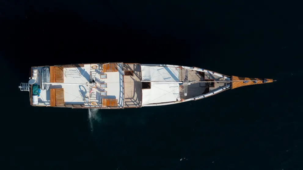 boat-refviero.webp