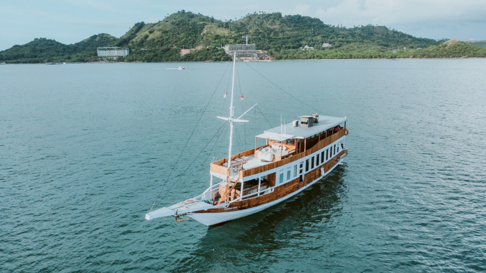 ramadani-star-komodo-2.png