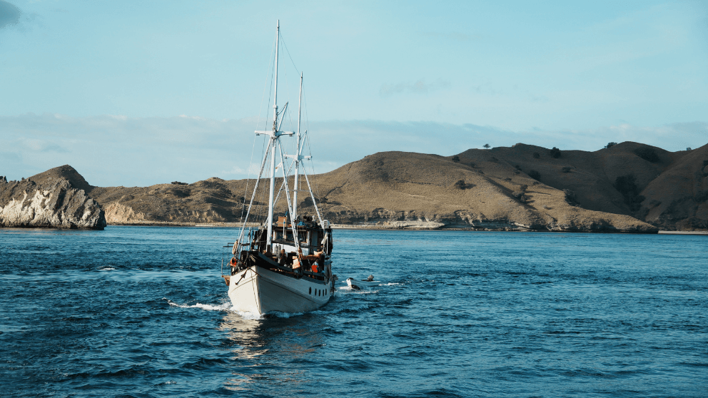 trip-komodo-alfathran.png
